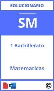 Solucionario Matematicas 1 Bachillerato Sm PDF